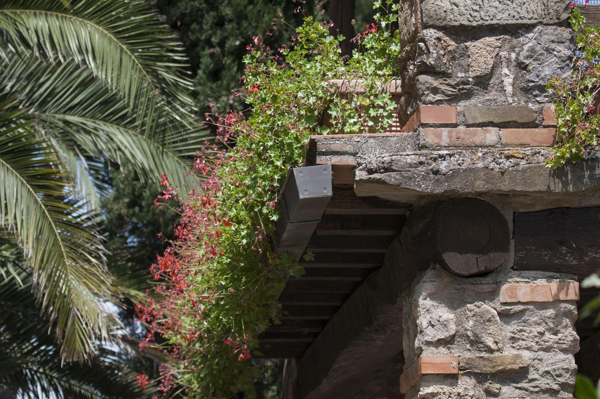 Tenuta Aronne Massa Marittima Exterior foto