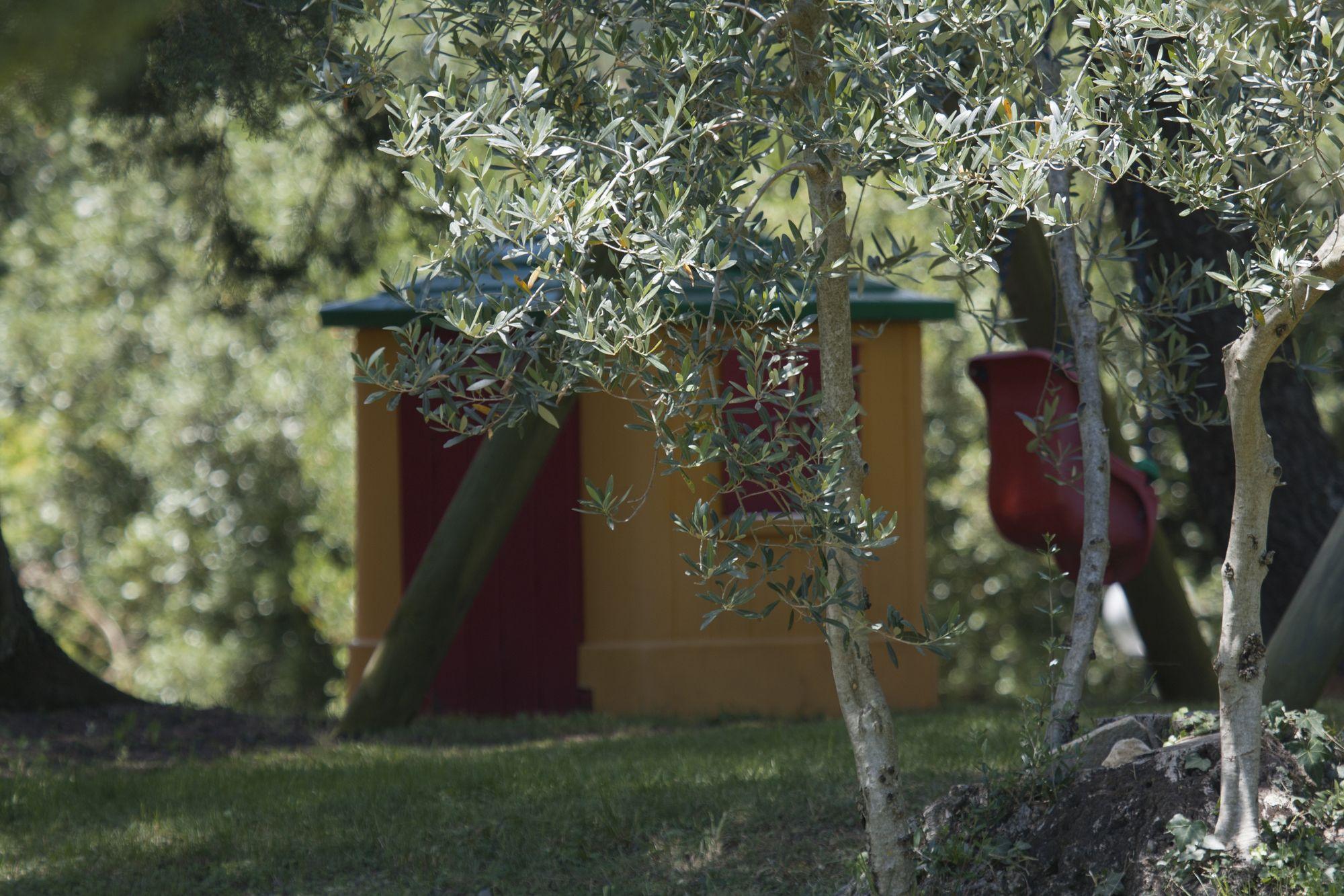 Tenuta Aronne Massa Marittima Exterior foto