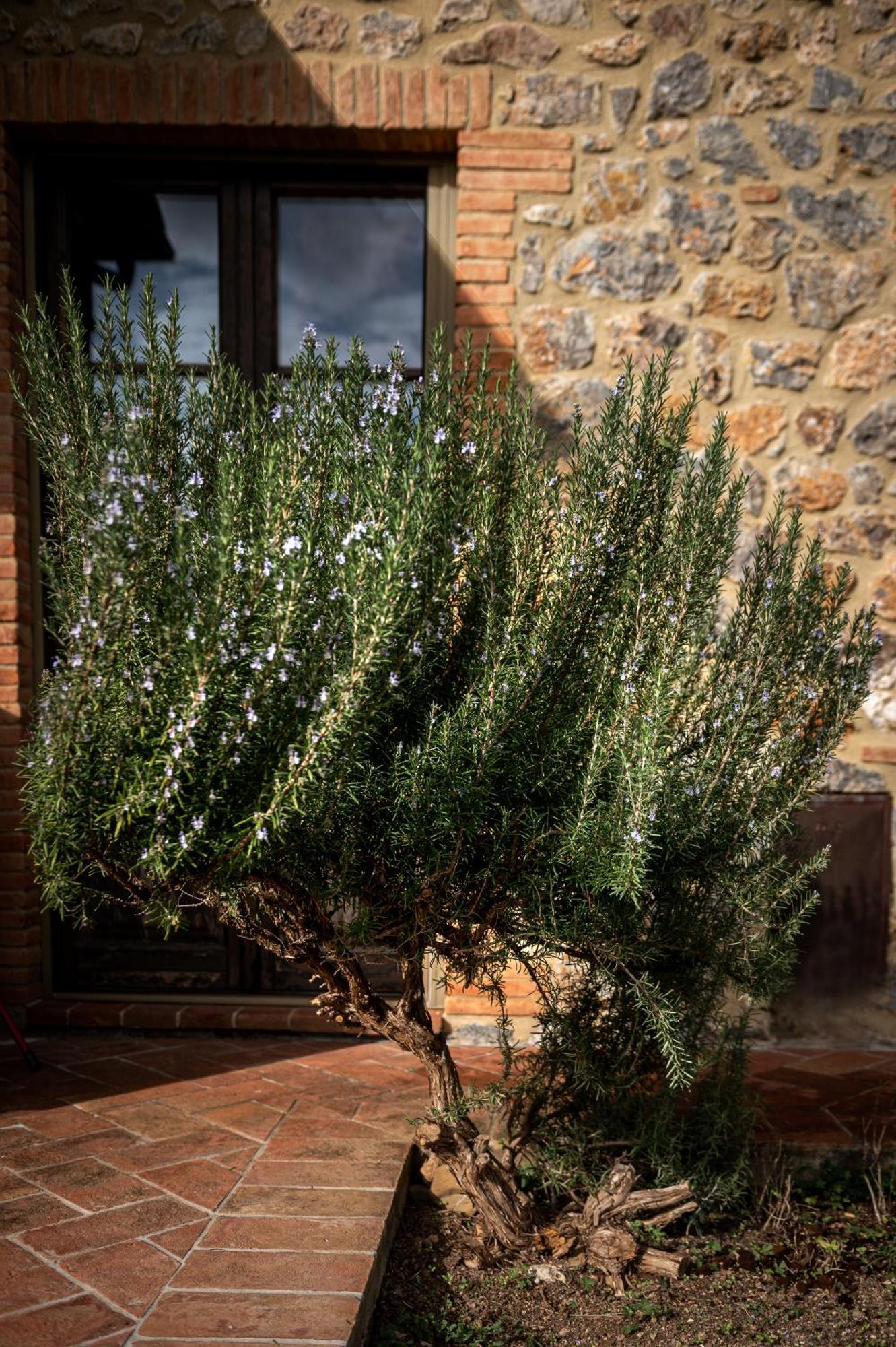 Tenuta Aronne Massa Marittima Exterior foto